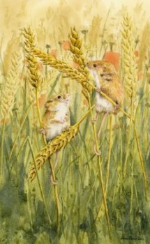 Image of Harvest Mice painting