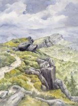 The Roaches image