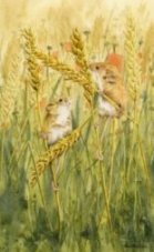 Harvest mice image