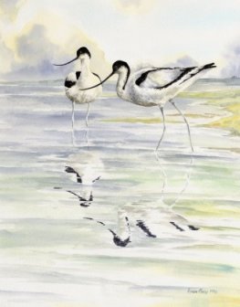 Image of Avocets painting