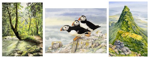 Cheedale, Puffins, and Suilven