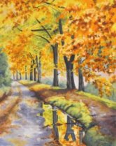 Autumn at Howden Reservoir image