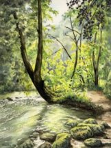 Cheedale image