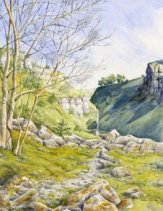 Lathkill Dale image